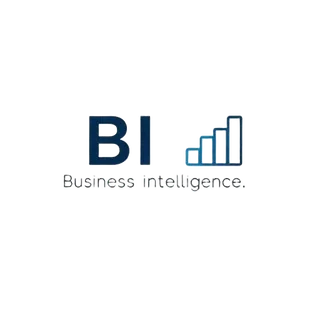 BI (Business Intelligence)